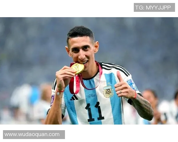 十五号的足球明星背后的故事与荣耀之路揭秘